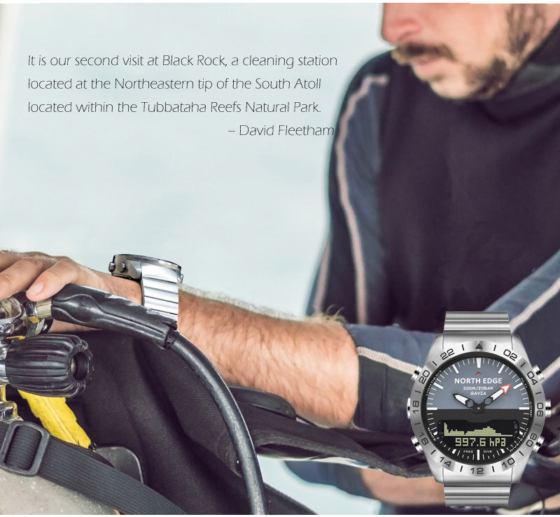 Stunning Dive Watch | Full Steel Body Design encalife