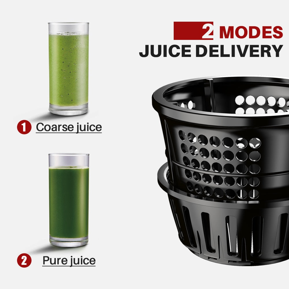 Electric Juicer | Screw Cold Press Extractor encalife