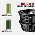 Electric Juicer | Screw Cold Press Extractor