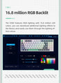The Ultimate Gaming Keyboard | With Hot Swappable Keys