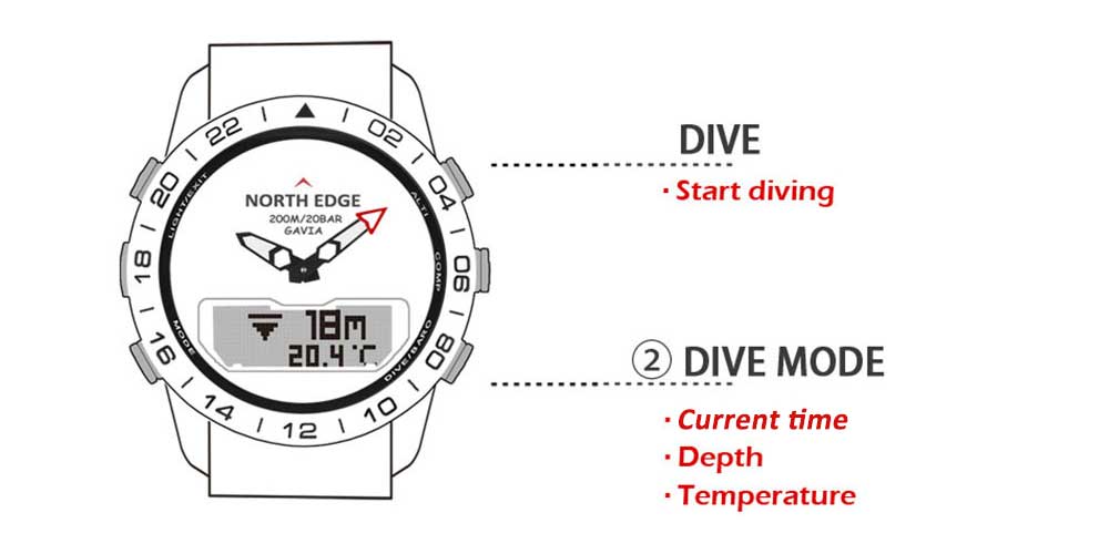 Stunning Dive Watch | Full Steel Body Design encalife