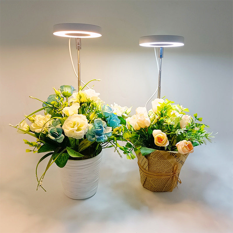 Grow Light For Indoor Plants | Angel Ring