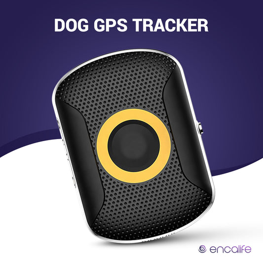 Dog GPS Tracker Collar | 4G Dog Fence encalife