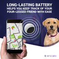 Dog GPS Tracker Collar | No Monthly Fees