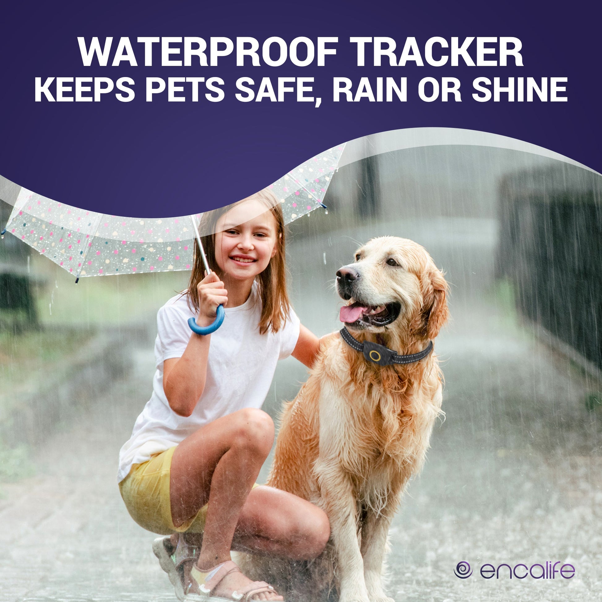 Dog GPS Tracker Collar | 4G Dog Fence encalife