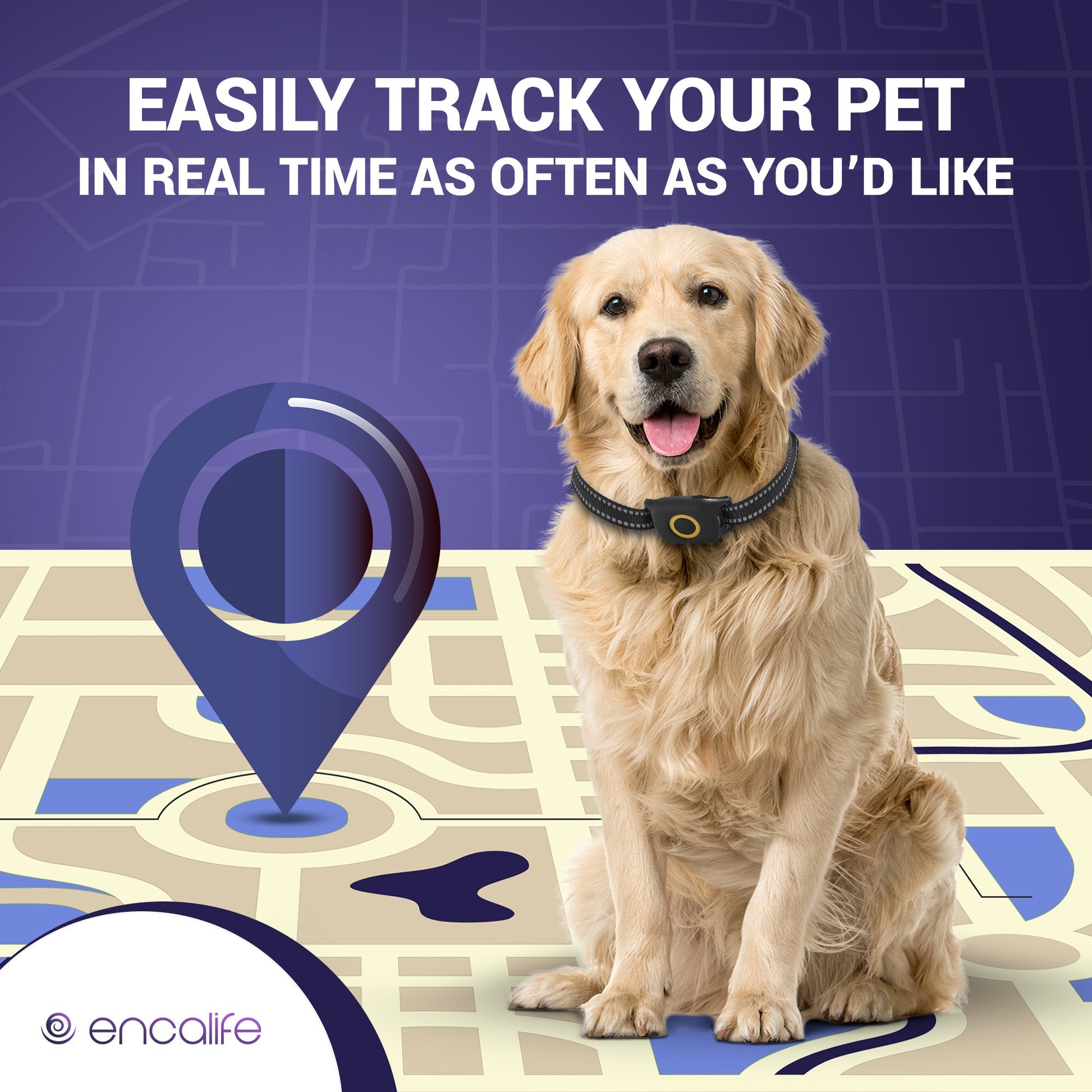 Dog GPS Tracker Collar | 4G Dog Fence encalife