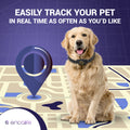 Dog GPS Tracker Collar | 4G Dog Fence