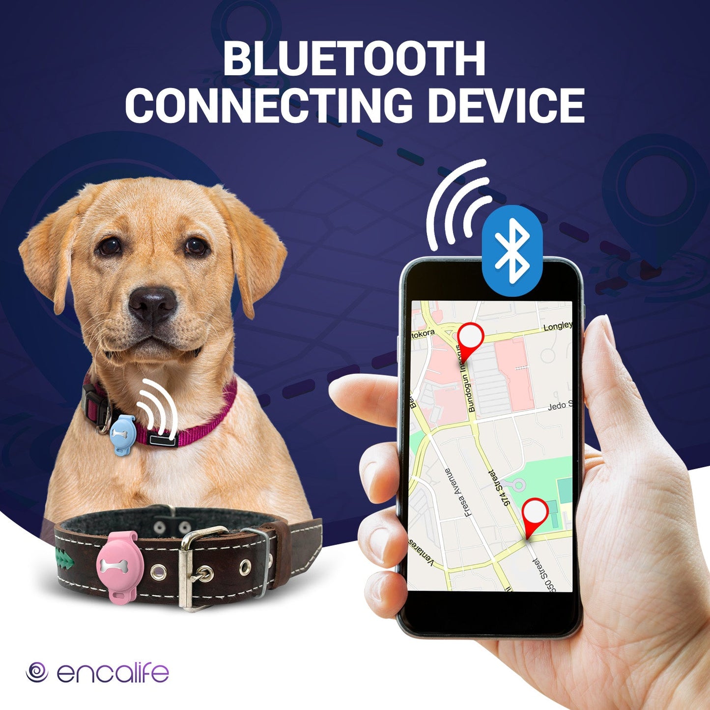 Dog GPS Tracker Collar | No Monthly Fees encalife