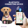 Dog GPS Tracker Collar | No Monthly Fees