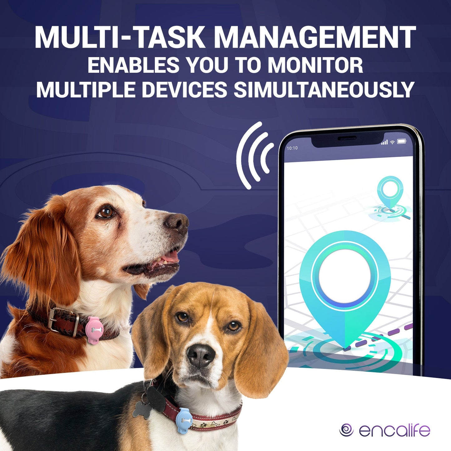 Dog GPS Tracker Collar | No Monthly Fees encalife