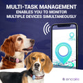 Dog GPS Tracker Collar | No Monthly Fees